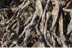 Photo of Mixed Textures